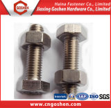 Stainless Steel 304 316 Hex Cap Bolt M5-M100