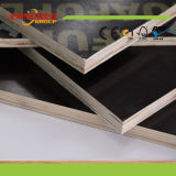 9mm 12mm 15mm 18mm 21mm Film Faced Shuttering Plywood for Concrete Formwork