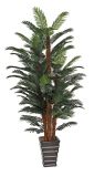 High Quality of Artificial Plants of Palm Tree Gu-695-120-5