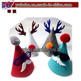 Holiday Gifts Felt Fabric Funny Birthday Party Decoration (B1016)