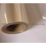 Eco-Solvent Transparent Pet Film (F41-309)