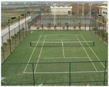 Sports Netting
