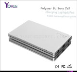 Thin Polymer Power Bank 20000/30000mAh for Laptop/Camera/iPod/Galaxy (YR200)