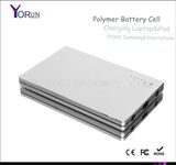 Thin Polymer Power Bank 20000/30000mAh for Laptop/Camera/iPod/Galaxy (YR200)