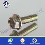 Hex Flange Bolt with Full Thread