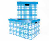 Colored Storage Boxs with Handle