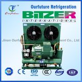 Bitzer 60Hz Ice Rink Condensing Unit R22