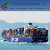 Shiping Agent From China Guangzhou to Peru,