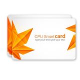 FM1208 CPU Smart Card