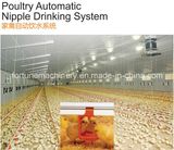 Poultry Automatic Nipple Drinking System