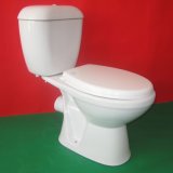 Washdown P-Trap Two Piece Toilet
