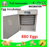 Digital Full Automatic Egg Incubator for 880 Chicken Eggs for Sale (WQ-880)