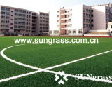 Sport or Football Artificial Grass (Thiolon-E588)