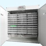 Incubator 5280 Eggs Incubator Hatching Machine