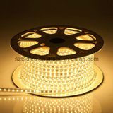 CE Approved 60LED IP65 5050 Flexible LED Strip Lights 220V