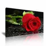 Discount Wall Decorative Picture Red Rose Canvas Art Painting