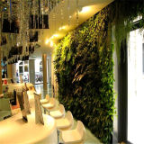 Cafe/Restaurant Indoor Decoration Artificial Plants Wall (SJ)