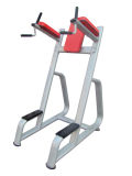 Fitness Equipment / Gym Equipment / Knee Raise (SM27)