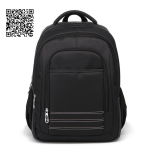 Laptop Bag, Computer Bag, Backpack Bag (UTBB1009)