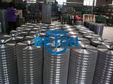 Welded Wire Mesh/Galvanized Welded Wire Mesh