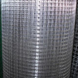 Factory Made Galvanized Welded Wire Mesh