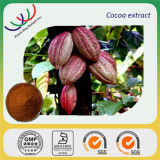 Free Sample 100% Natural HPLC 10%~20% Theobromine Cocoa Extract