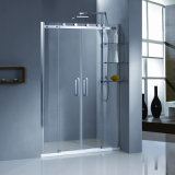 Sliding Shower Door/Stainless Steel Door/Shower Room