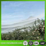 Apple Tree Anti Hail Net/Plastic Anti Hail Net/Hail Net