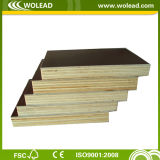 Plywood for Formwork and Concrete 2 Times Hot Pressed (w15106)