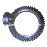 Crusher Hypoid Gear