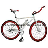 Racing Bicycle for Hot Sale (RC--004)