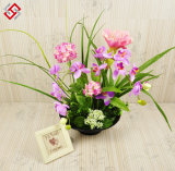 Festival Gift High Quality Home Decor Beautiful Phalaenopsis, Silk Flower