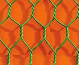 Hexagonal Wire Mesh