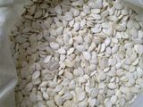 New Crop White Pumpkin Seeds