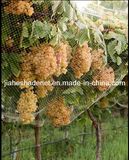 HDPE Anti-Bird Net