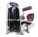 Gym Equipment Body Building, Back Extension (AT-7810)