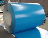 Steel Coil-PPGI