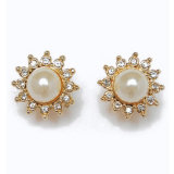 Fashion Jewelry Earring (A05364E1W)