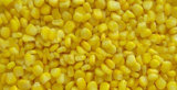 IQF Frozen Sweet Corn Kernel