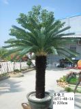 Artificial Plants and Flowers of Cycas Gu-1071-48-1A