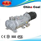 Lgb-30DV Variable Pitch Screw Dry Vacuum Pump