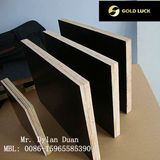 First Grade Brown Film Faced Plywood