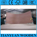 Thin Thickness Okoume Plywood for Door Skin