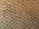 Upholstery Fabric (TS-ZBSLY)