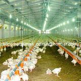 High Quality Poultry Control Shed Equipment for Broiler