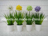 Artificial Plastic Flower Bonsai (C0289)