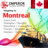 Sea Freight Shipping From China to Montreal, Canada