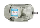 Yx3 Series High Efficiency Electric Motor