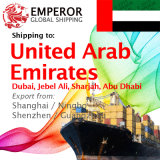 Container Shipping From Shanghai, Ningbo, Shenzhen, Guangzhou to Sharjah, Jebel Ali, Dubai, Al Ain, Abu Dhabi