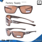 Sport Sunglasses Eyewear for PC